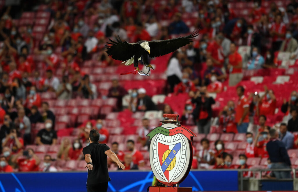 Águila en el estadio del Benfica