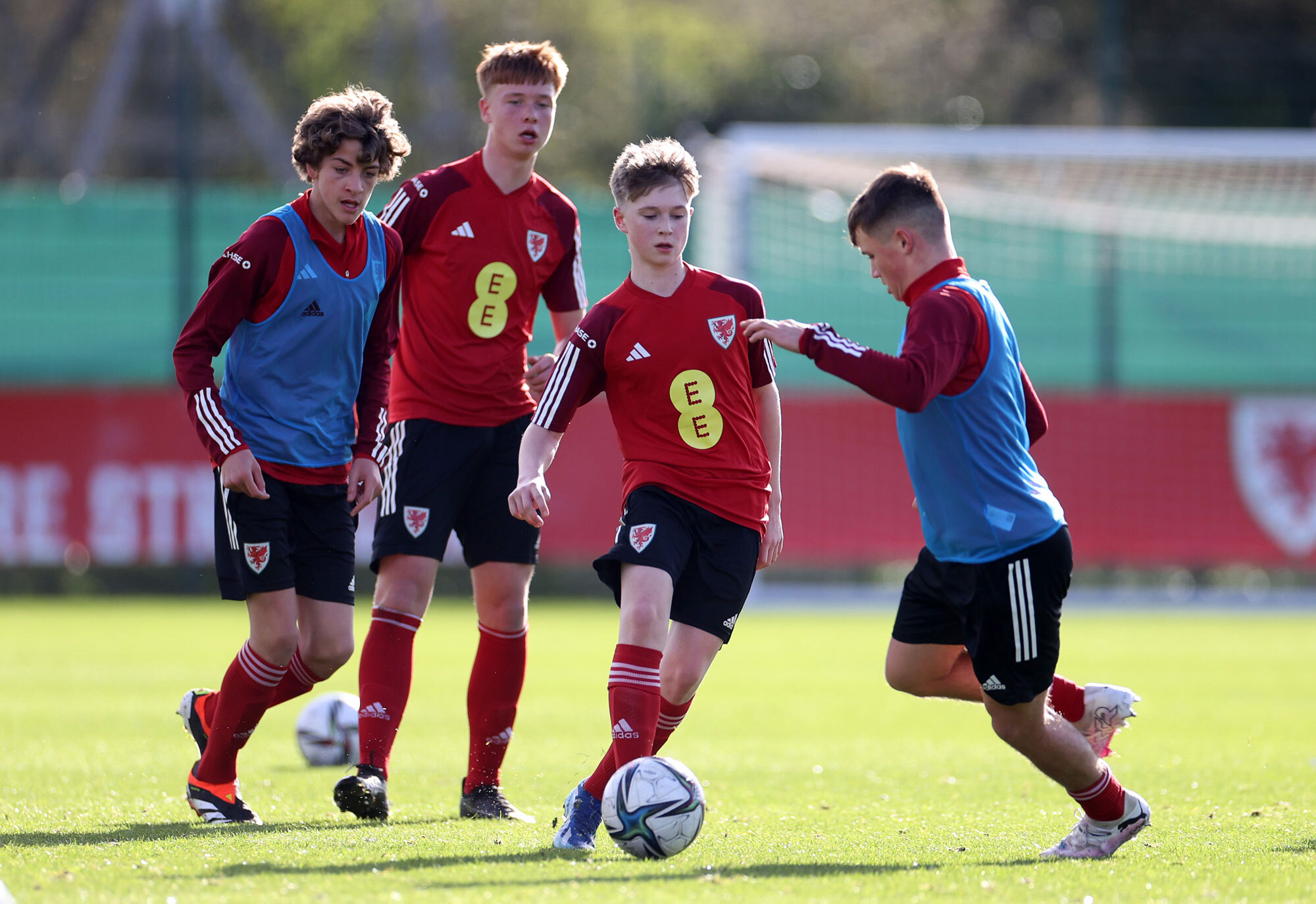 Para ligas y federaciones